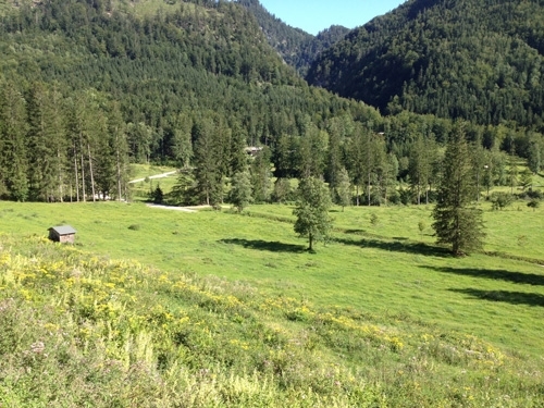 mbh