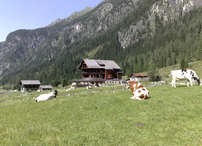 Gasthof Alpenrose