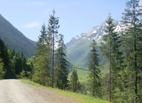 Blick Hollersbachtal