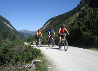 Der Weg fürht durch wunderschönes Almgebiet
