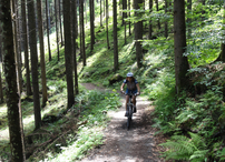 Trail beim Falkenstein