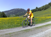 Wunderschöne Wiesen am Mittersiller Sonnberg