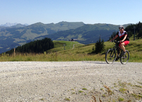 Blick Richung Kitzbüheler Horn
