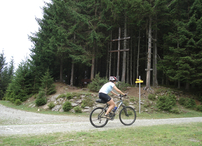 Weg-Gabelung beim Wetterkreuz Richtung Hörgerlam