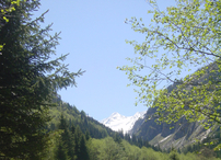 Blick zum Großvenediger