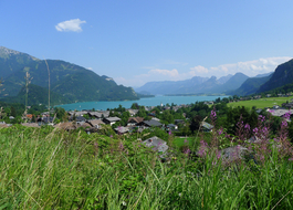 Blick auf den Wolfgangsee