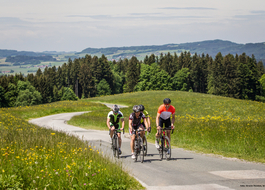 Richtung Gaisberg