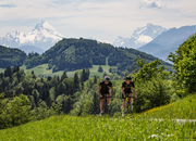 Traumhafter Anstieg in mitten von Wiesen
