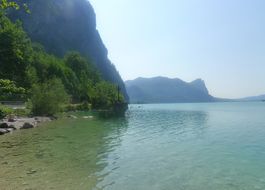 Glasklares Wasser des Mondsees