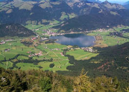 Walchsee