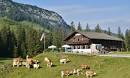 Ackneralm