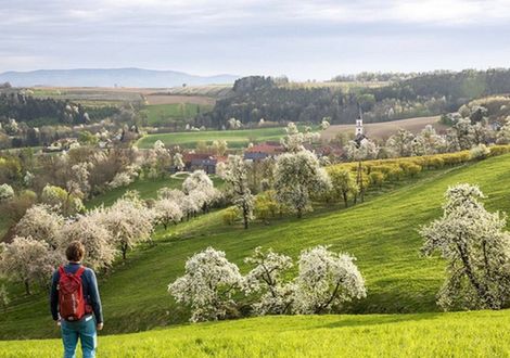 Away from the lake, into the countryside - Gast-Hof-Laden Schneeweiss