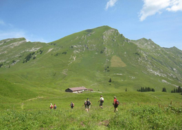 Kanisfluh - Alpe Obere