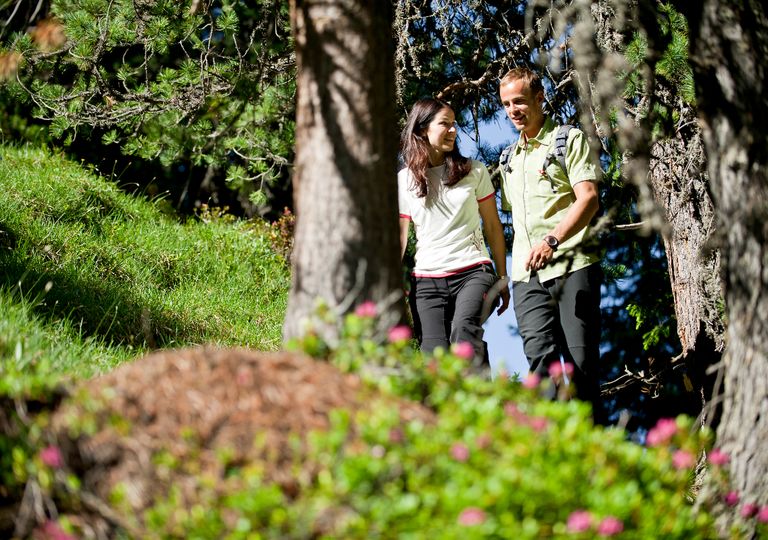 © Tourismusverein Gitschberg Jochtal