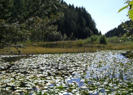 Altrei - Hornalm - Altrei