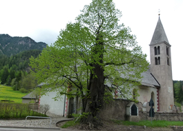 San Lugano in Naturpark Truden