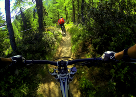 Freeridetrail