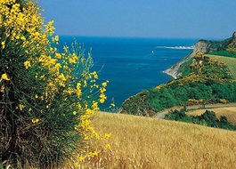 PANORAMICA