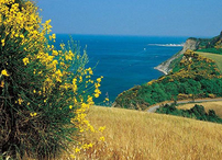 FIORENZUOLA DI FOCARA