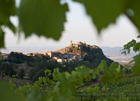 Ampeleia di Sopra: Ampeleia di Sopra:70 hectares, of which 15 hectares of vineyards – Ampeleia di Sopra is the largest land unit of the estate. Placed between 450 and 600 metres above sea level, it is mainly planted with Cabernet Franc. The different exposures, the various soil-types and the climate marked by sea breezes meeting the land’s energy - these are the elements that determine the uniqueness of these sites, dominated by chestnut woods. Ampeleia di Sopra includes the “Lo Sbocco” vineyard where the Merlot vines used for Empatia plunge their roots.